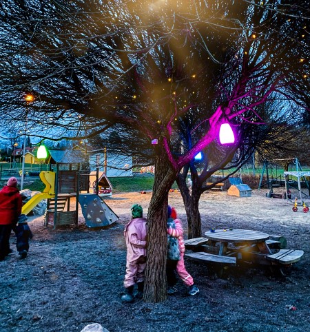 Lampor i ett träd lyser upp skolgården i mörkret
