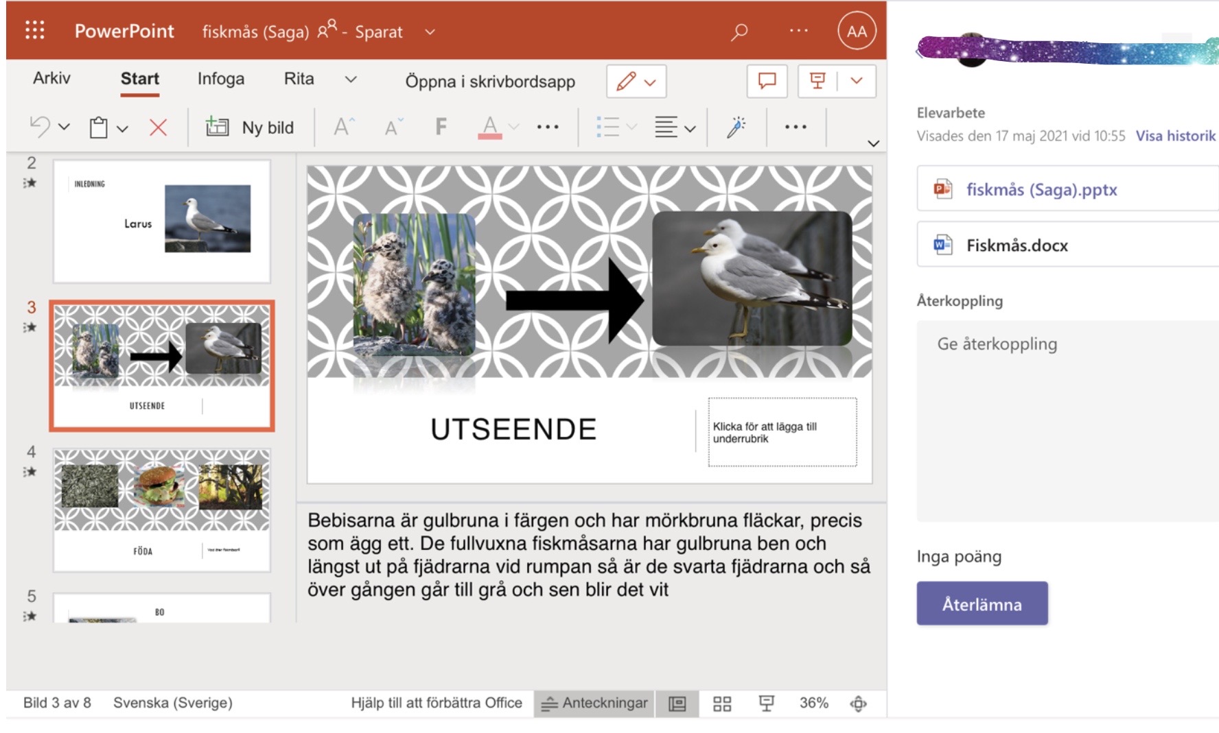 Bild av en Power Point