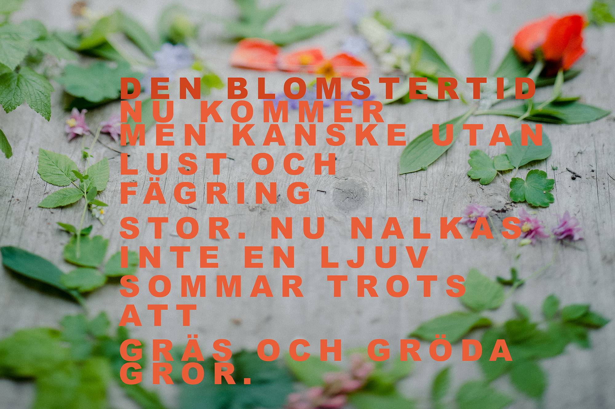 Texten till Den blomstertid nu kommer