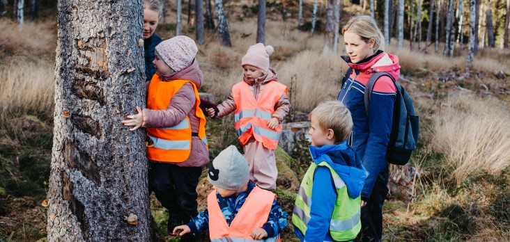 Barn och pedagoger med utflyktsvästar i skogen som undersöker ett träd