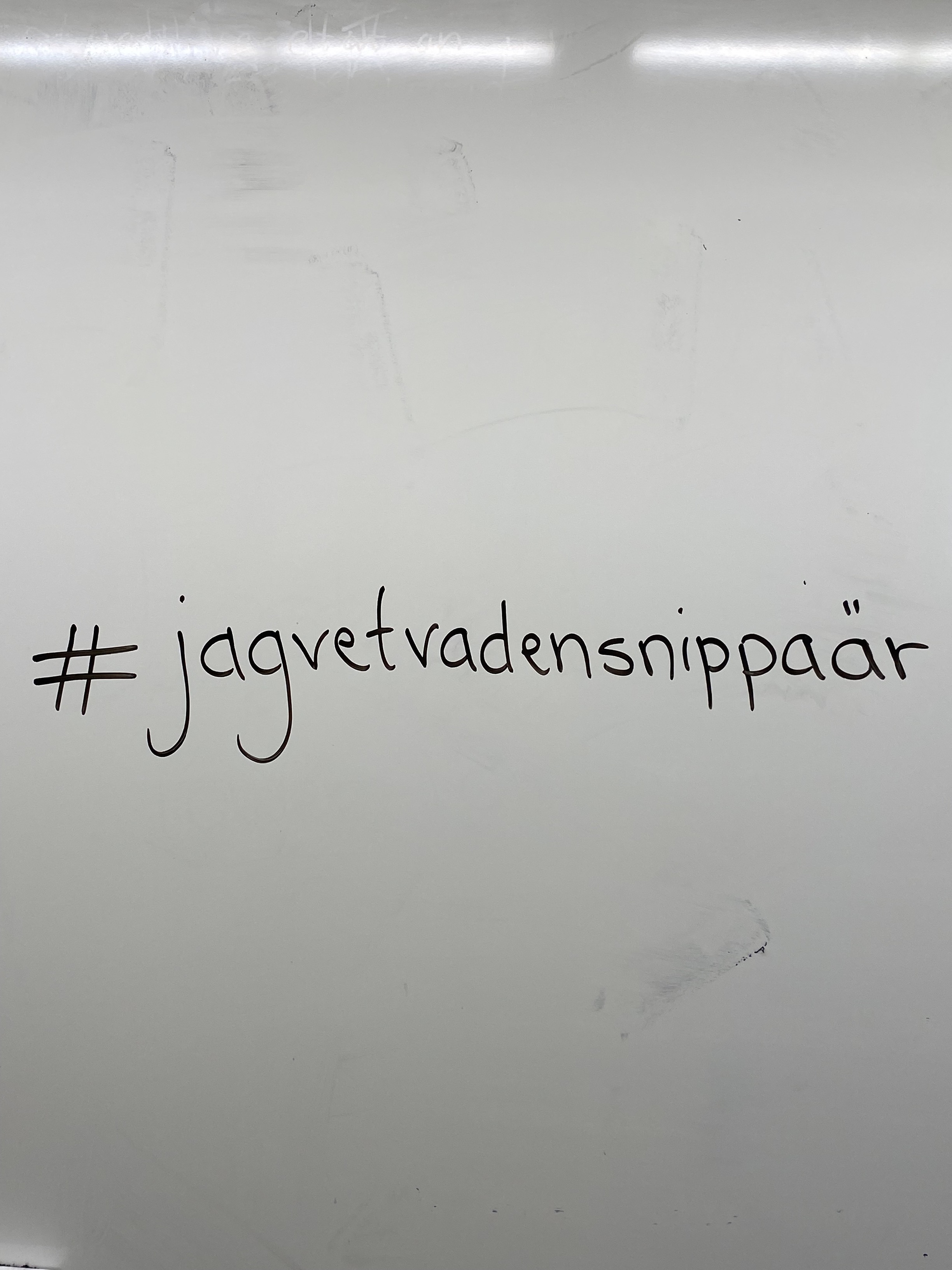 whiteboard med texten jagvetvadensnippaär